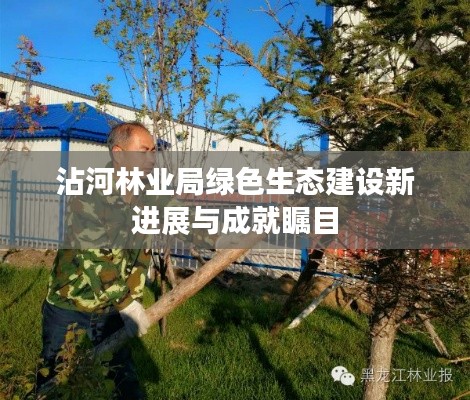 沾河林业局绿色生态建设新进展与成就瞩目