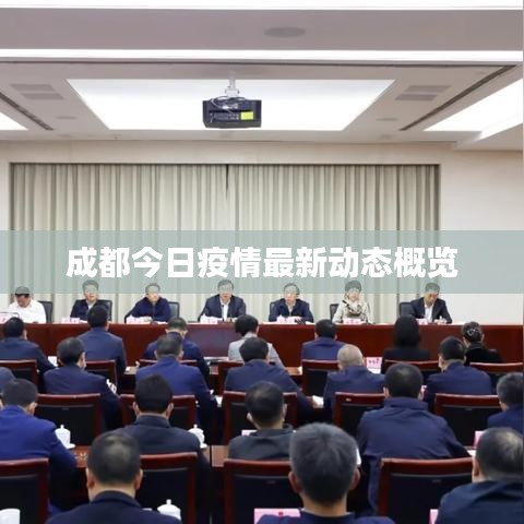 成都今日疫情最新动态概览