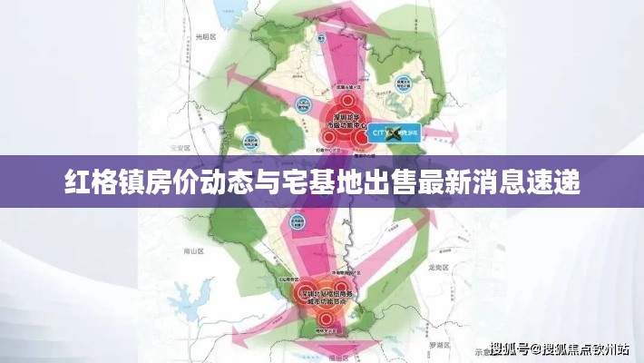红格镇房价动态与宅基地出售最新消息速递