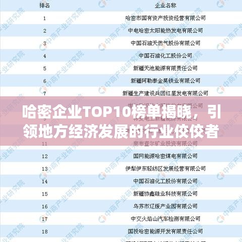 哈密企业TOP10榜单揭晓,引领地方经济发展的行业佼佼者