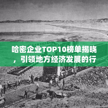 哈密企业TOP10榜单揭晓,引领地方经济发展的行业佼佼者
