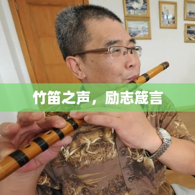 网站案例 第21页