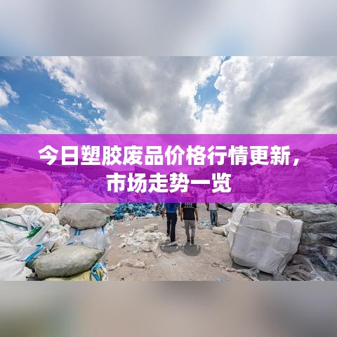 今日塑胶废品价格行情更新,市场走势一览