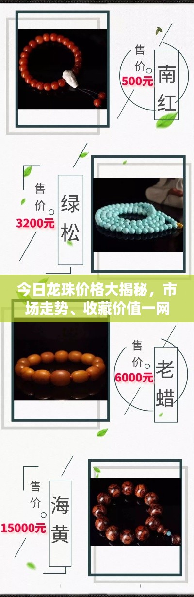 今日龙珠价格大揭秘,市场走势、收藏价值一网打尽