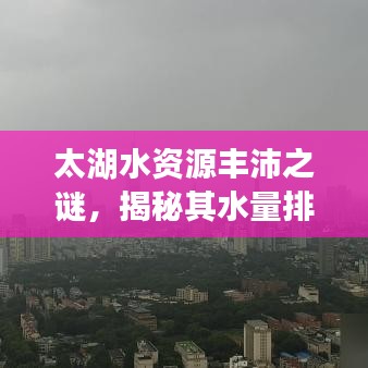 鸟惊鼠窜