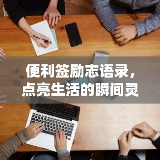 螓首蛾眉