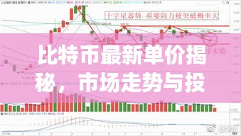 轻飞曼舞