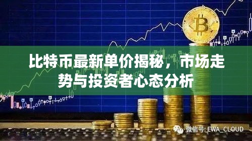 比特币最新单价揭秘,市场走势与投资者心态分析