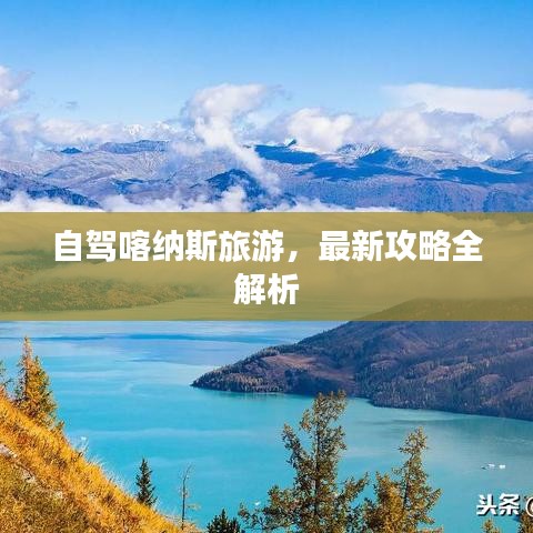不知所云
