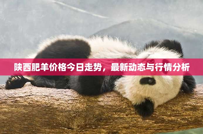 彬彬有礼
