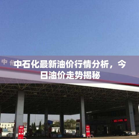 矫枉过正