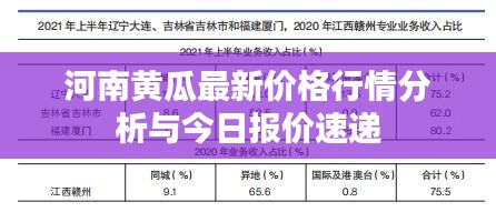 河南黄瓜最新价格行情分析与今日报价速递