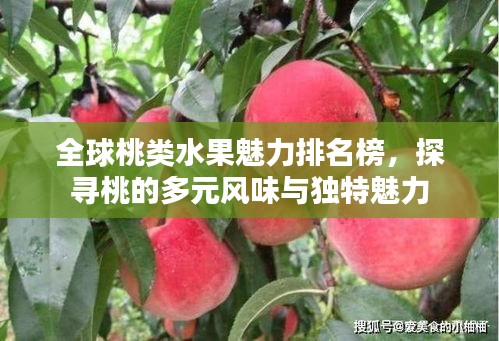 全始全终