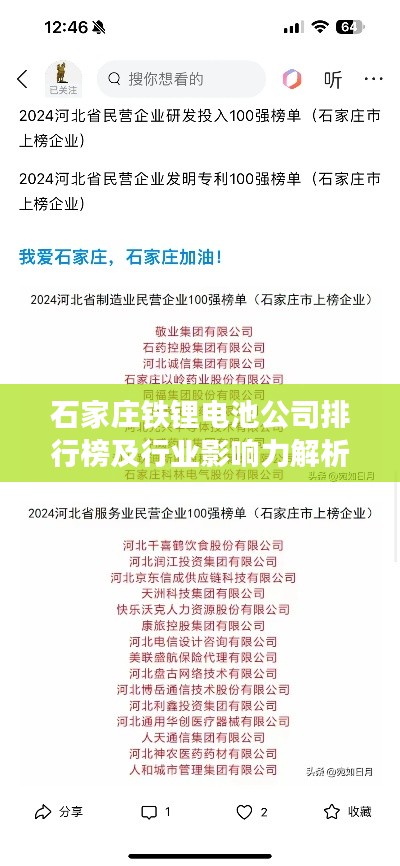 石家庄铁锂电池公司排行榜及行业影响力解析