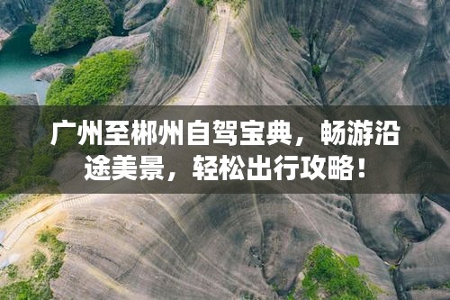 一石二鸟