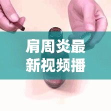 风华绝代