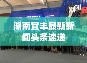 定谋贵决