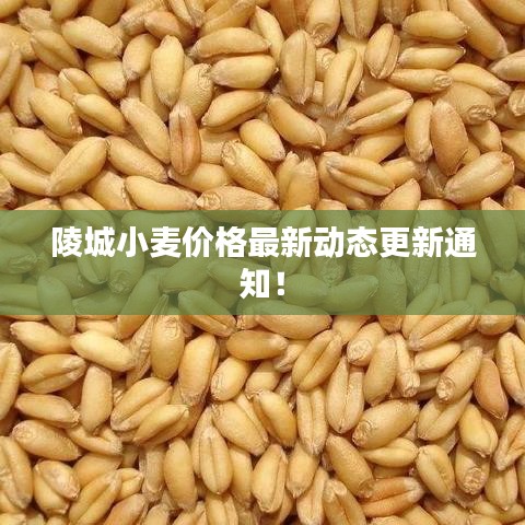 后会难期