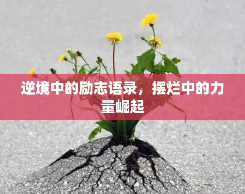 2025年8月18日