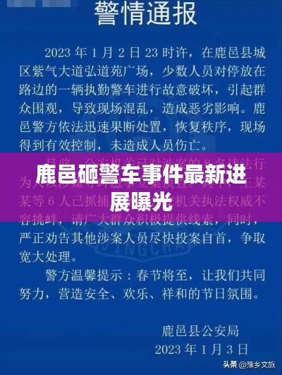 资料下载 第4页