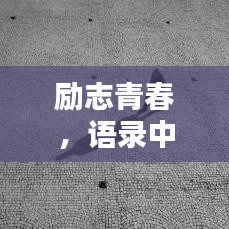 励志青春，语录中的力量与智慧启迪人生