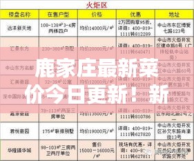 2025年8月24日 第3页