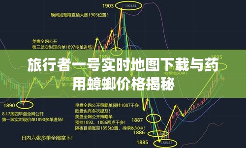 旅行者一号实时地图下载与药用蟑螂价格揭秘