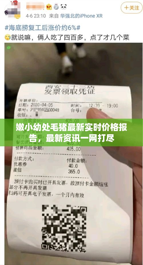 嫩小幼处毛猪最新实时价格报告，最新资讯一网打尽