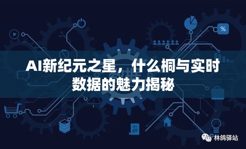 2025年8月31日