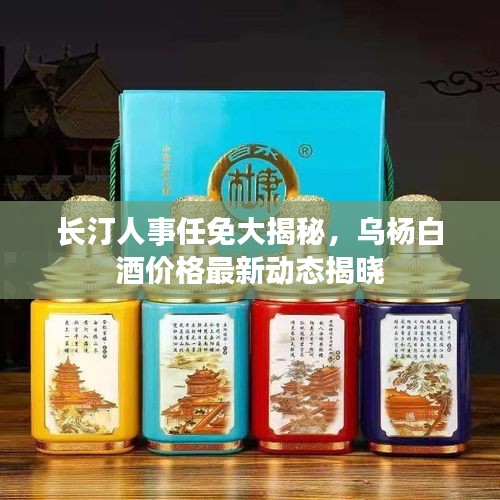 长汀人事任免大揭秘，乌杨白酒价格最新动态揭晓