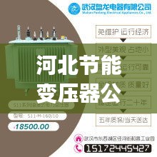 河北节能变压器公司排行榜及行业影响力解析