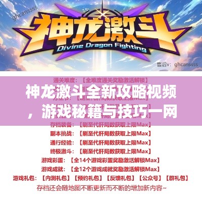 神龙激斗全新攻略视频，游戏秘籍与技巧一网打尽！