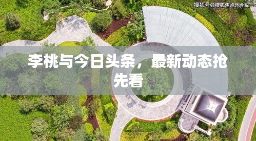 李桃与今日头条,最新动态抢先看