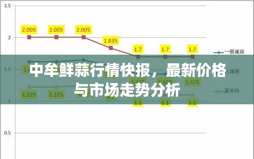 中牟鲜蒜行情快报，最新价格与市场走势分析