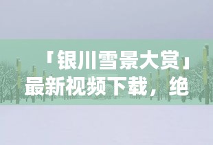 「银川雪景大赏」最新视频下载，绝美瞬间尽在其中！