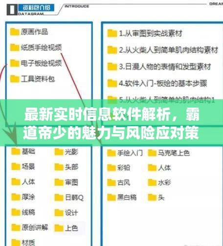 最新实时信息软件解析，霸道帝少的魅力与风险应对策略