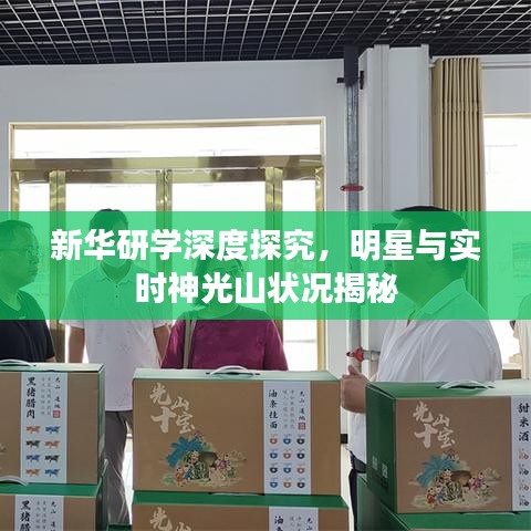 新华研学深度探究，明星与实时神光山状况揭秘