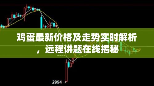 鸡蛋最新价格及走势实时解析，远程讲题在线揭秘