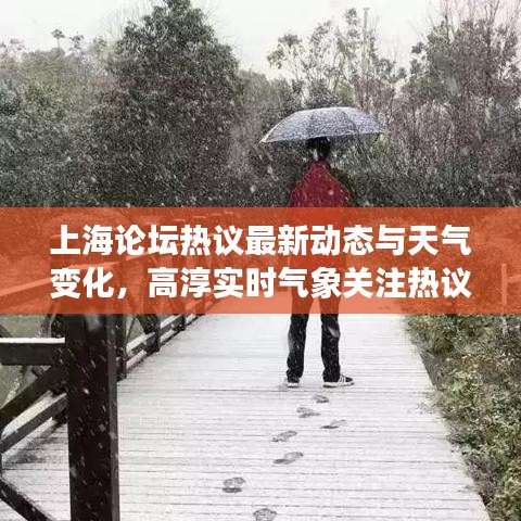 上海论坛热议最新动态与天气变化，高淳实时气象关注热议话题