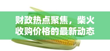 财政热点聚焦，柴火收购价格的最新动态分析