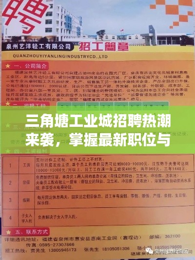 三角塘工业城招聘热潮来袭，掌握最新职位与实时编程软件动态