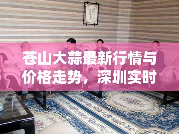 苍山大蒜最新行情与价格走势，深圳实时荧光PCR技术动态解析