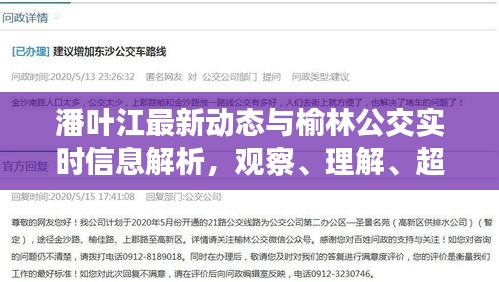 潘叶江最新动态与榆林公交实时信息解析，观察、理解、超越