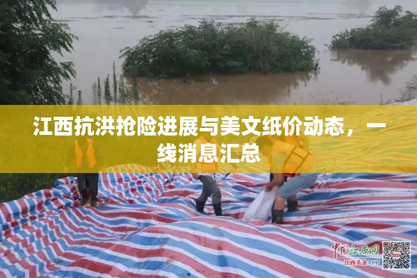 江西抗洪抢险进展与美文纸价动态，一线消息汇总