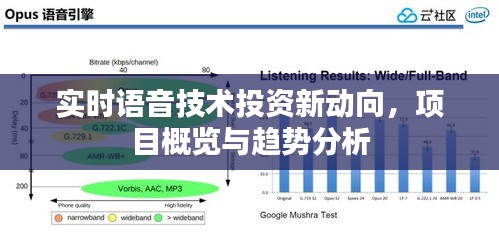 实时语音技术投资新动向，项目概览与趋势分析
