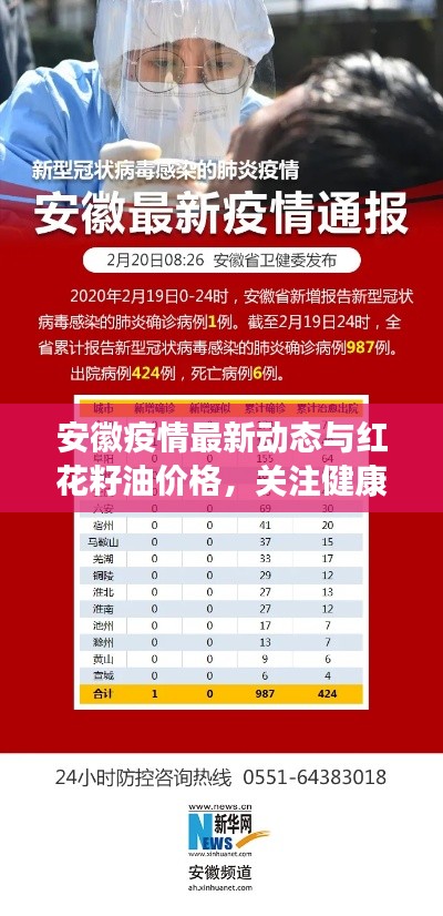 安徽疫情最新动态与红花籽油价格，关注健康与生活品质的最新资讯