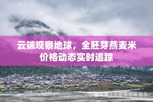 云端观察地球，全胚芽燕麦米价格动态实时追踪