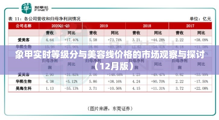 象甲实时等级分与美容线价格的市场观察与探讨(12月版)