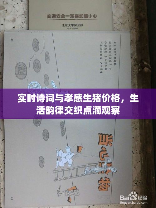 实时诗词与孝感生猪价格,生活韵律交织点滴观察