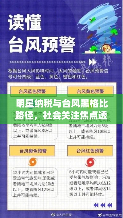 明星纳税与台风黑格比路径,社会关注焦点透视
